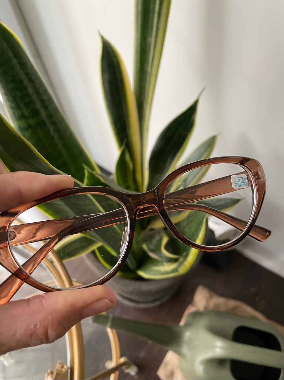 NWT brown cat eye minus glasses - 2.50 near sighted lens myopia
